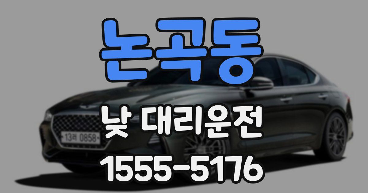 논곡동 낮 대리운전
