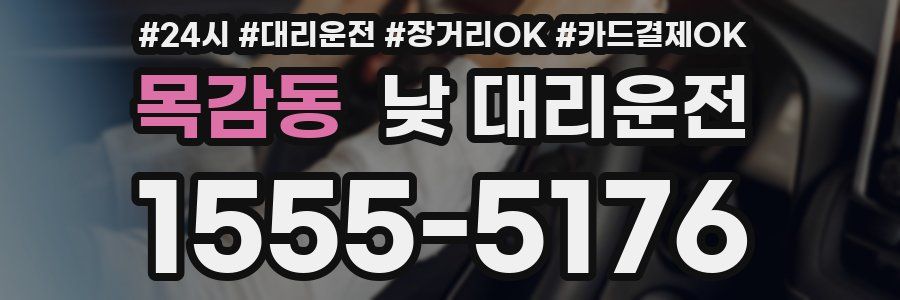 목감동 낮 대리운전