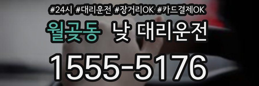 월곶동 낮 대리운전