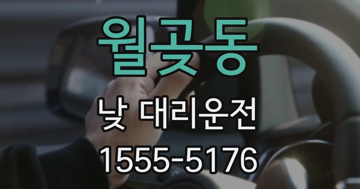 월곶동 낮 대리운전