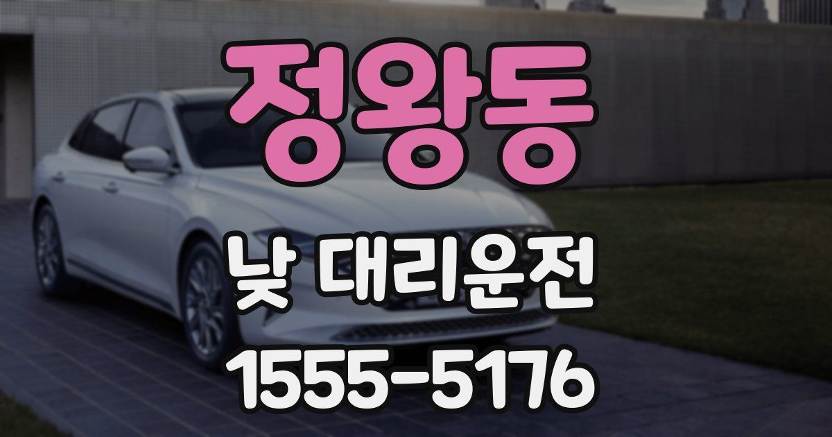 정왕동 낮 대리운전