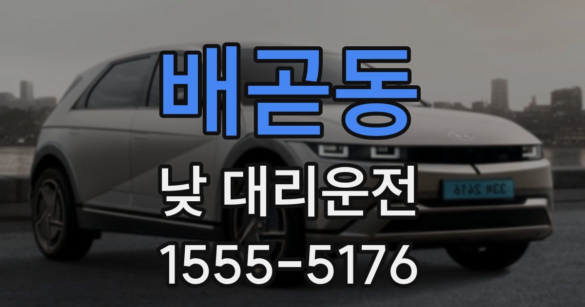 배곧동 낮 대리운전