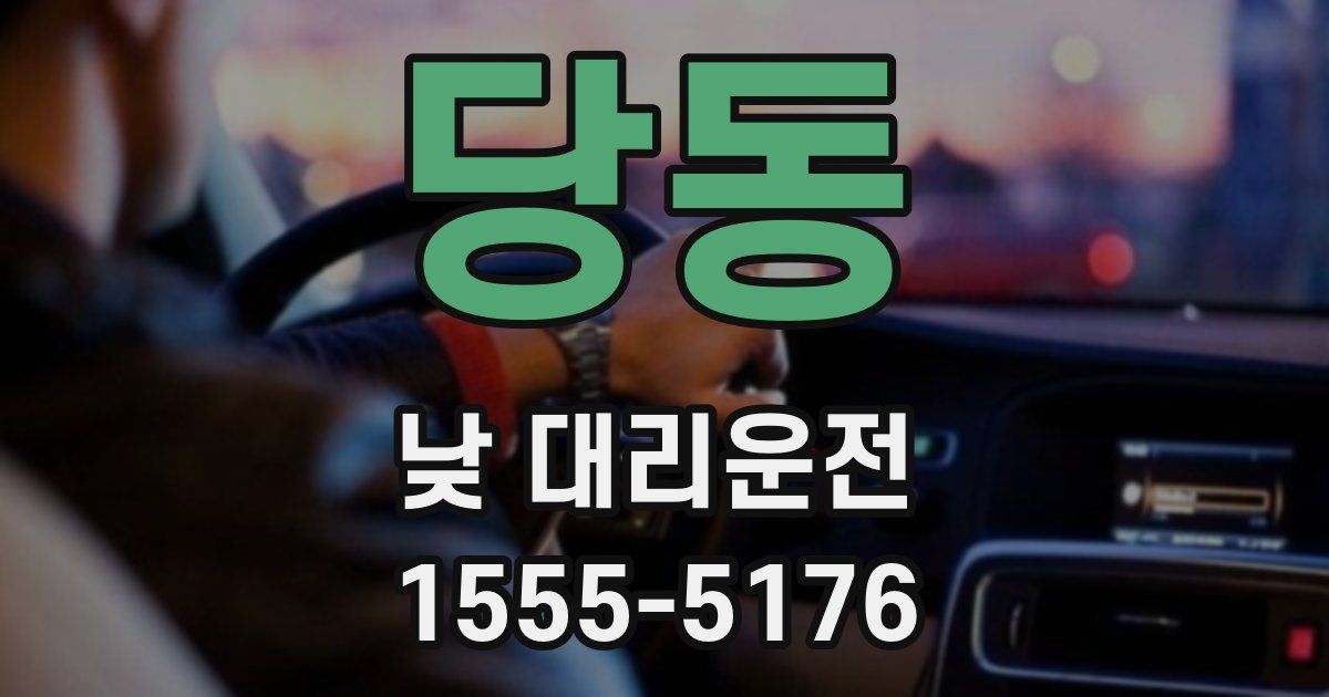 당동 낮 대리운전