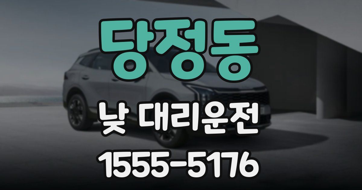 당정동 낮 대리운전