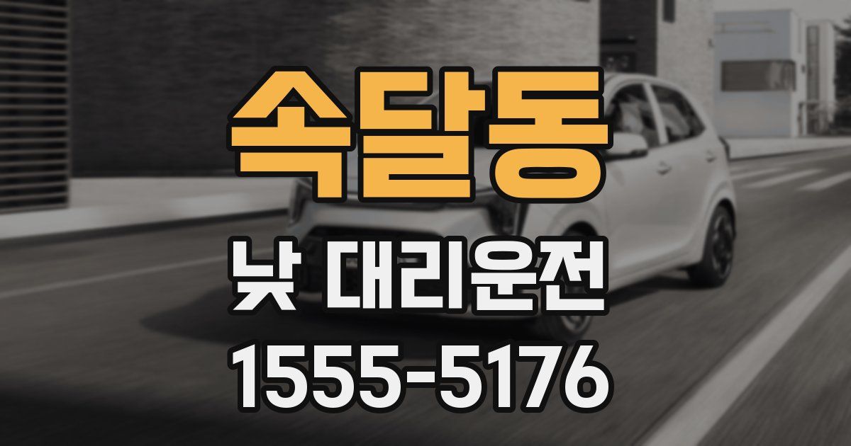 속달동 낮 대리운전