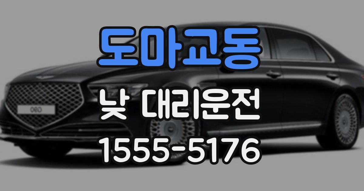 도마교동 낮 대리운전