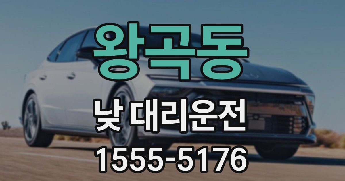왕곡동 낮 대리운전