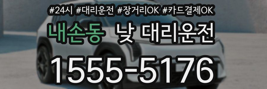 내손동 낮 대리운전