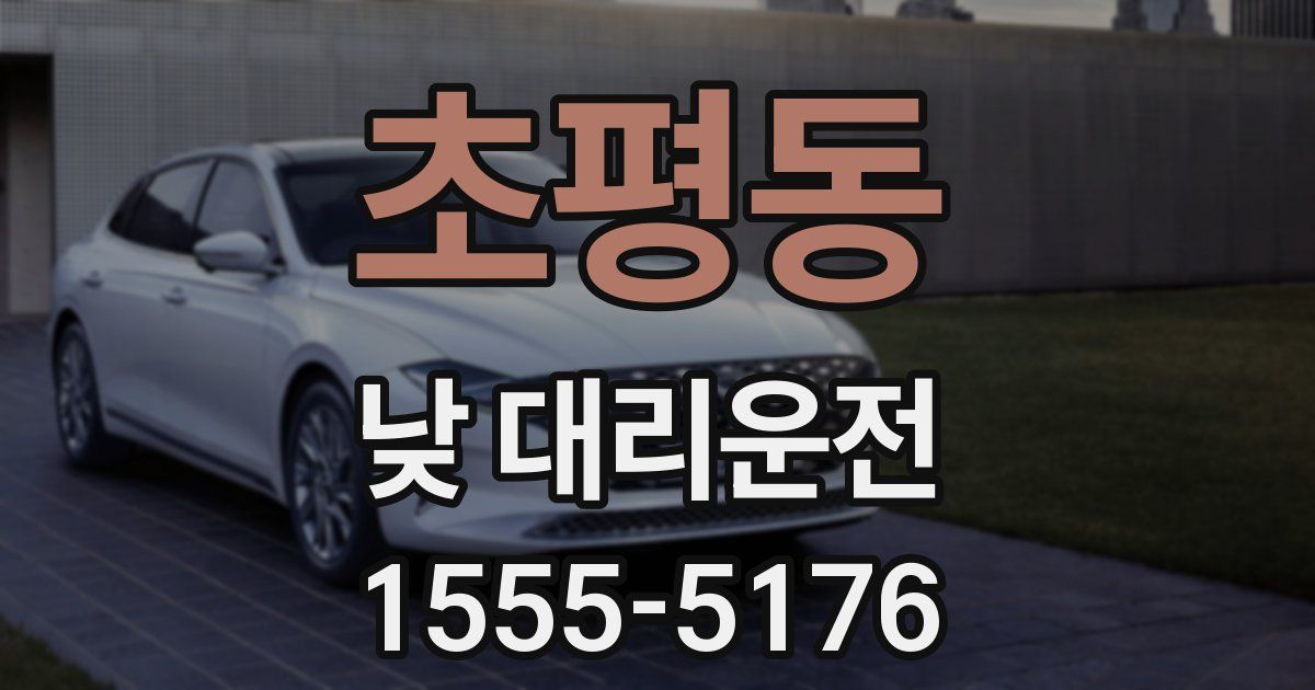 초평동 낮 대리운전