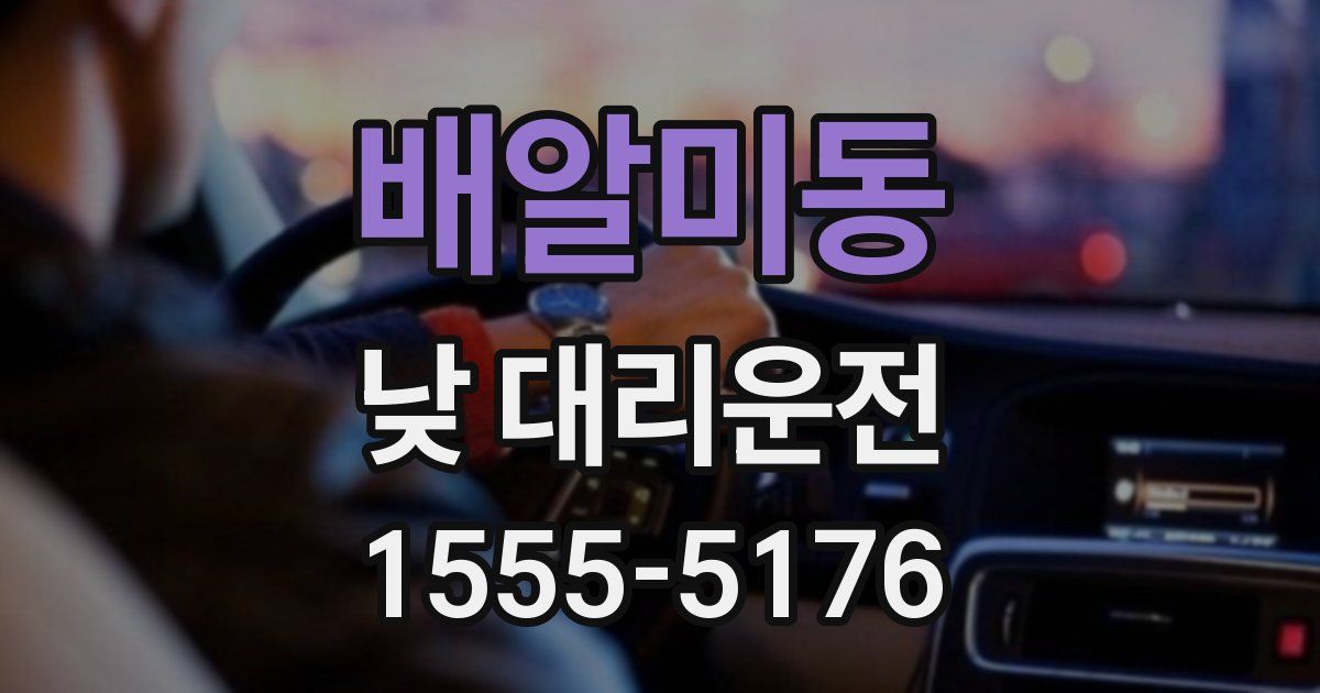 배알미동 낮 대리운전