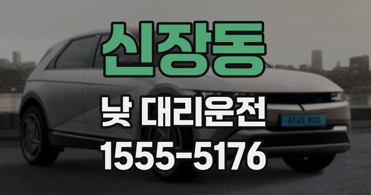 신장동 낮 대리운전