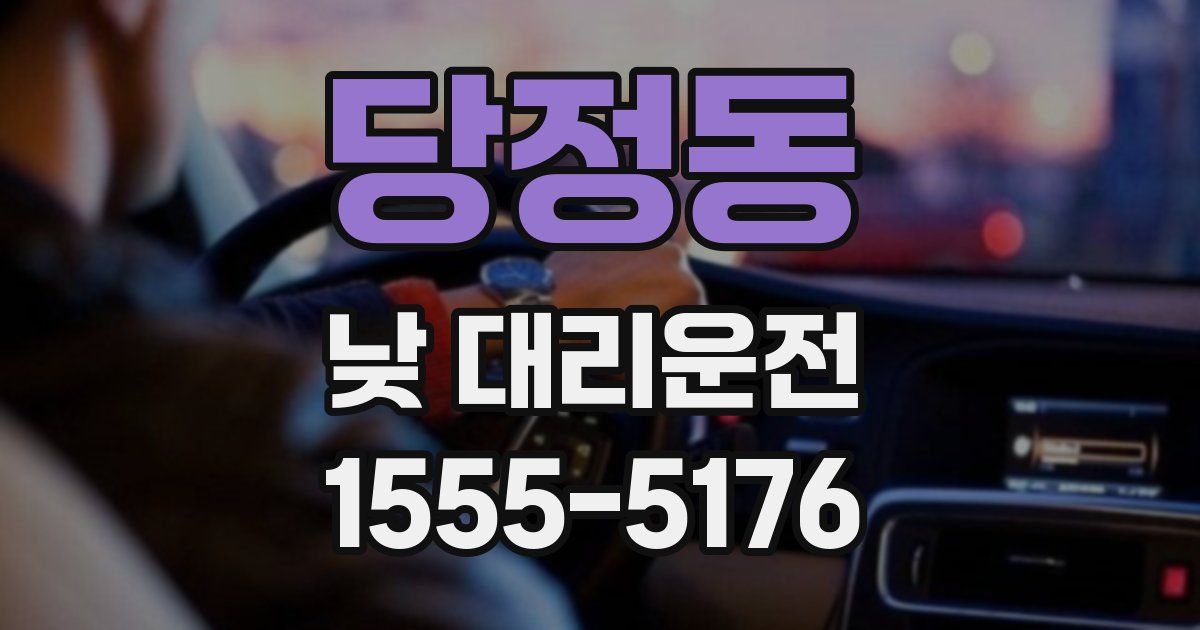 당정동 낮 대리운전