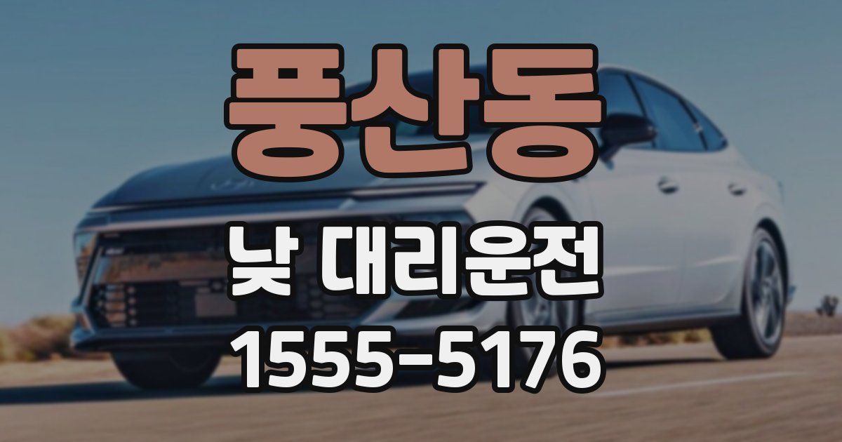 풍산동 낮 대리운전