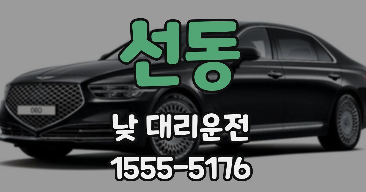 선동 낮 대리운전