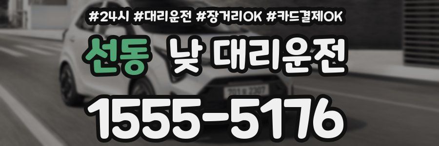 선동 낮 대리운전