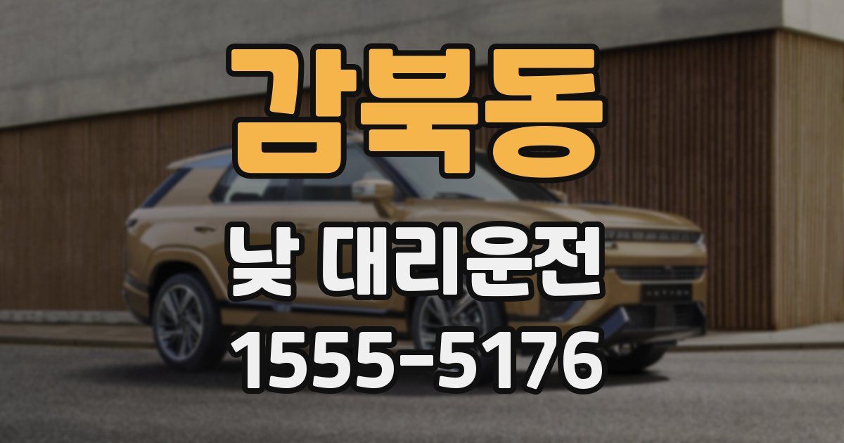 감북동 낮 대리운전