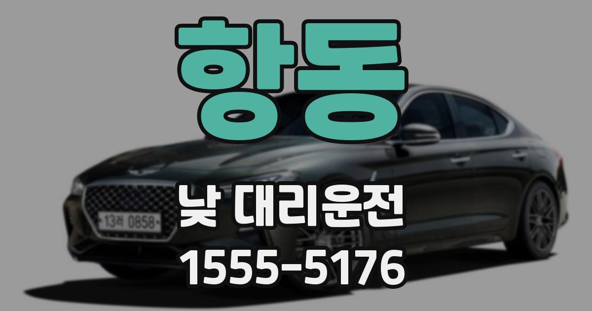 항동 낮 대리운전