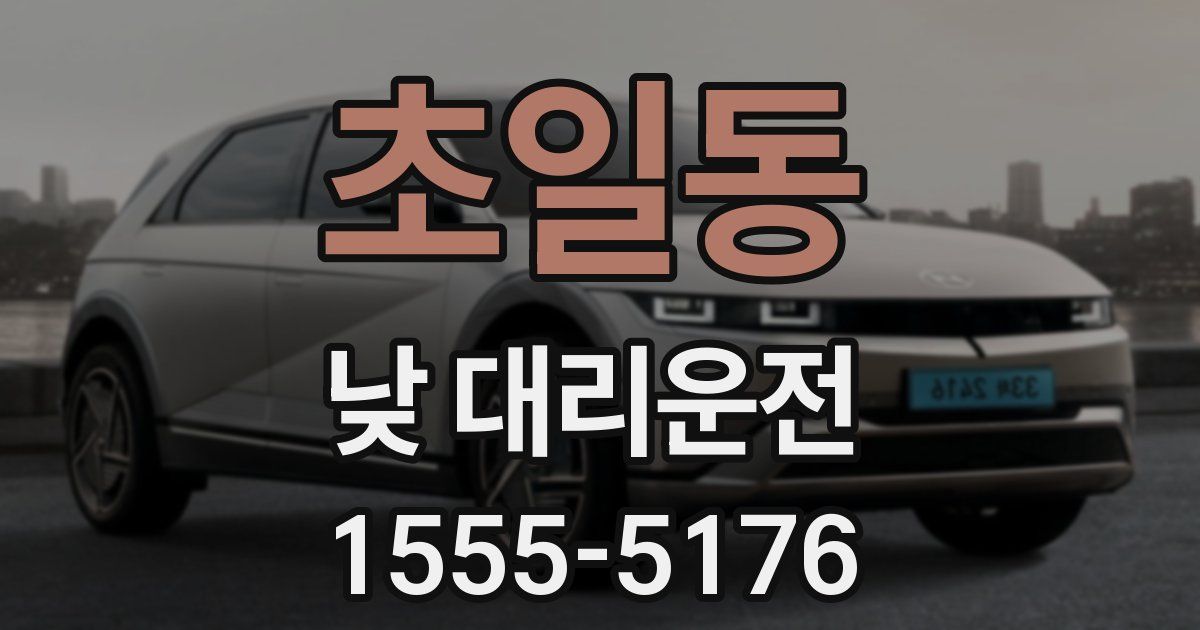 초일동 낮 대리운전