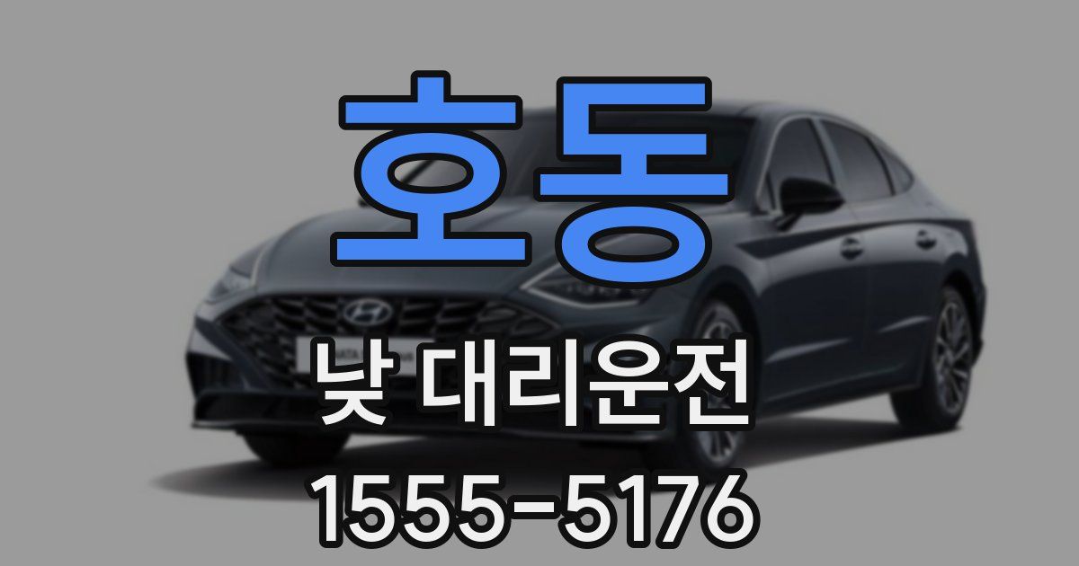 호동 낮 대리운전