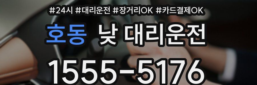 호동 낮 대리운전