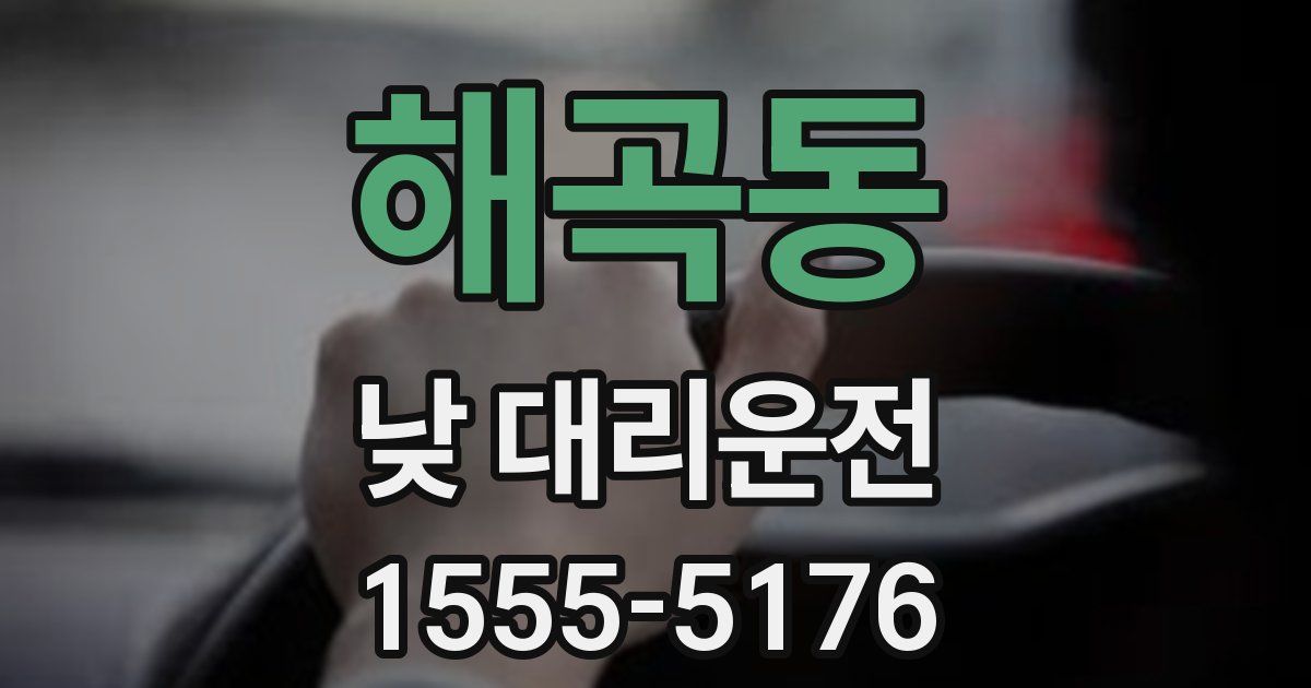 해곡동 낮 대리운전