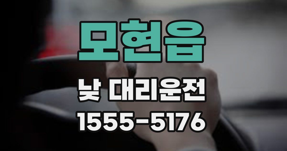 모현읍 낮 대리운전