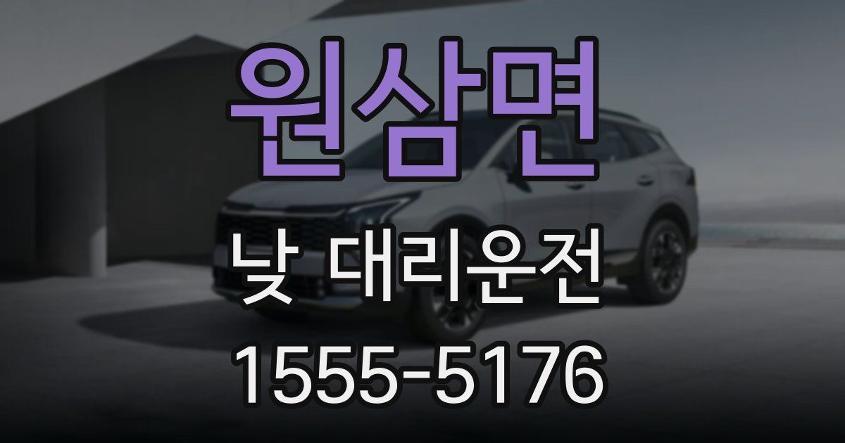 원삼면 낮 대리운전