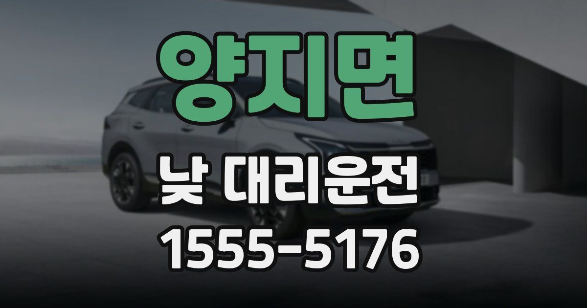 양지면 낮 대리운전
