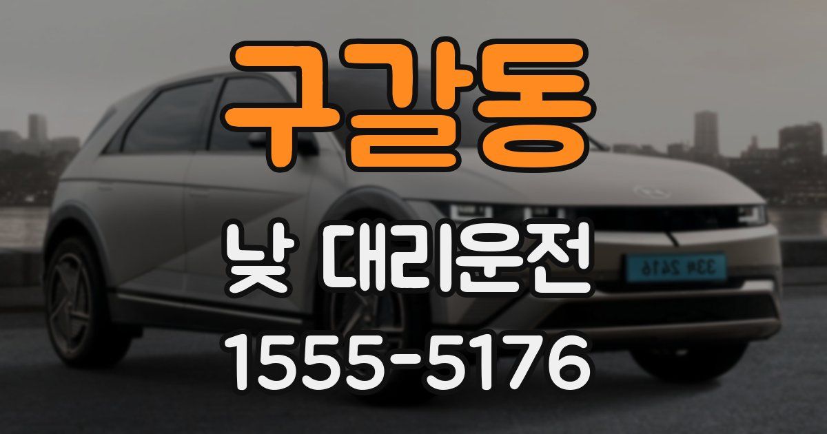 구갈동 낮 대리운전