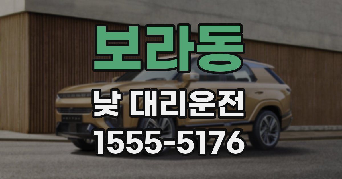 보라동 낮 대리운전