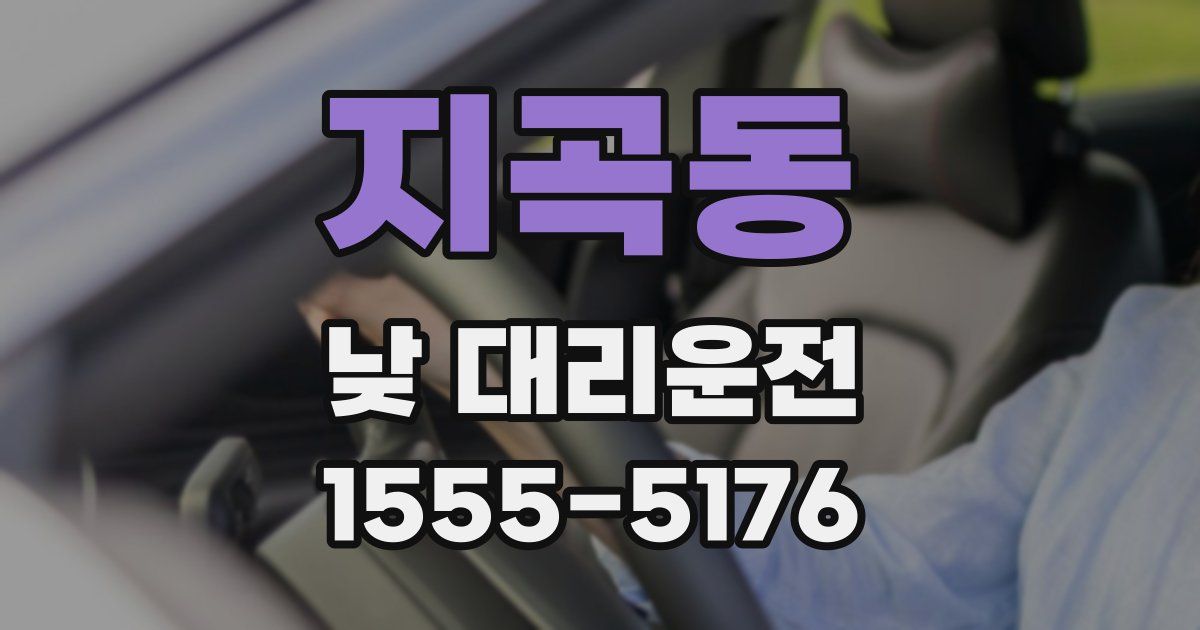 지곡동 낮 대리운전