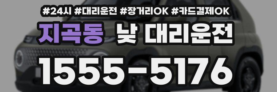 지곡동 낮 대리운전