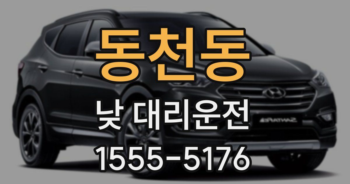 동천동 낮 대리운전