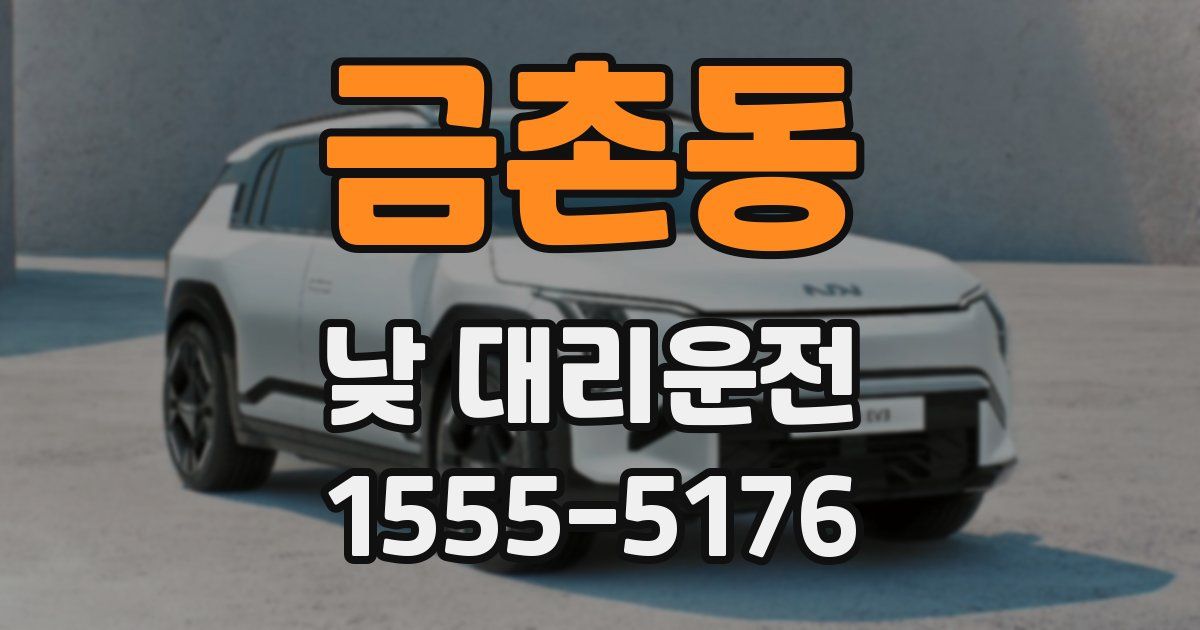 금촌동 낮 대리운전
