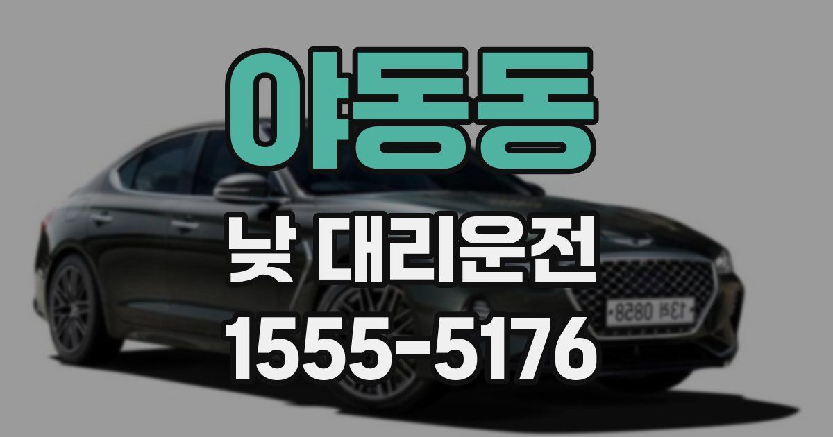 야동동 낮 대리운전