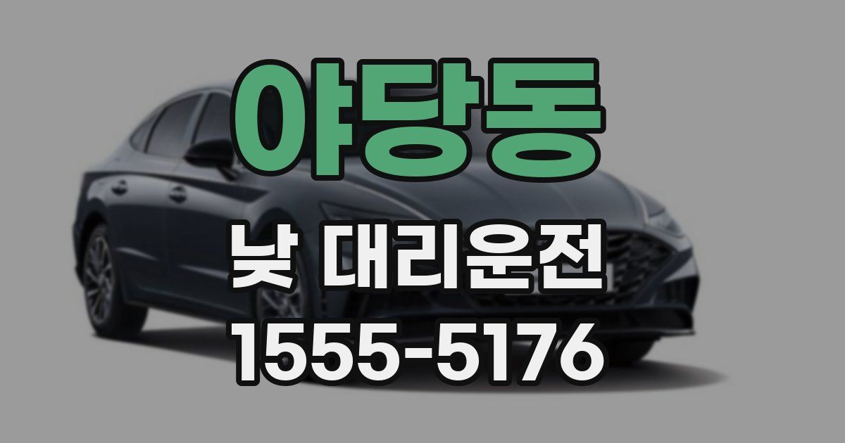 야당동 낮 대리운전