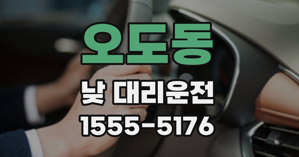 오도동 낮 대리운전