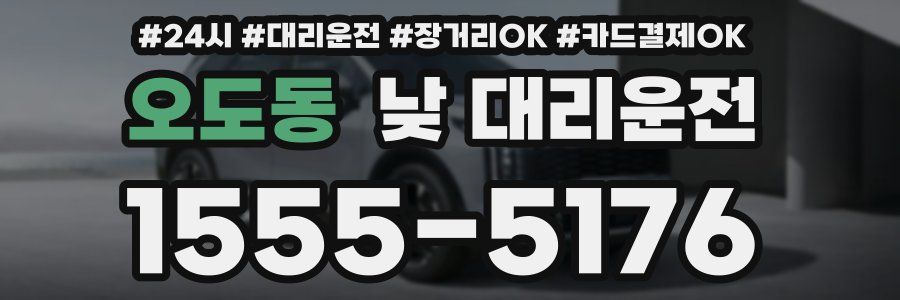 오도동 낮 대리운전