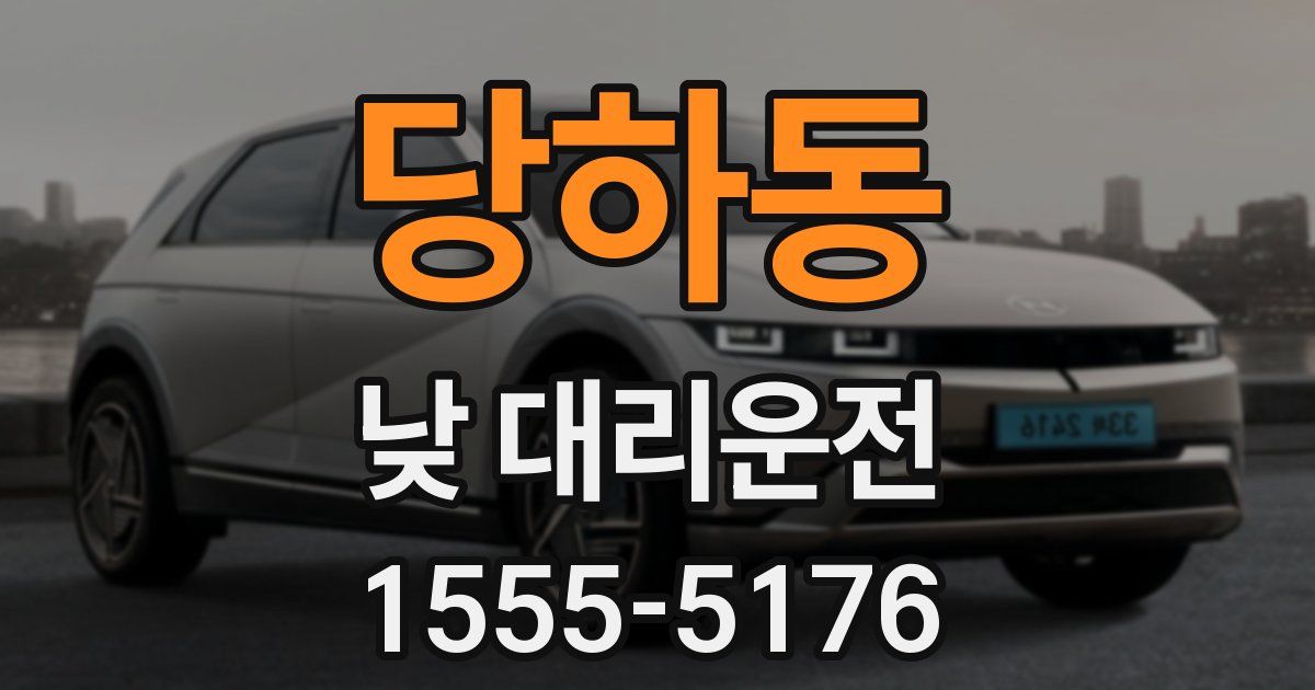 당하동 낮 대리운전