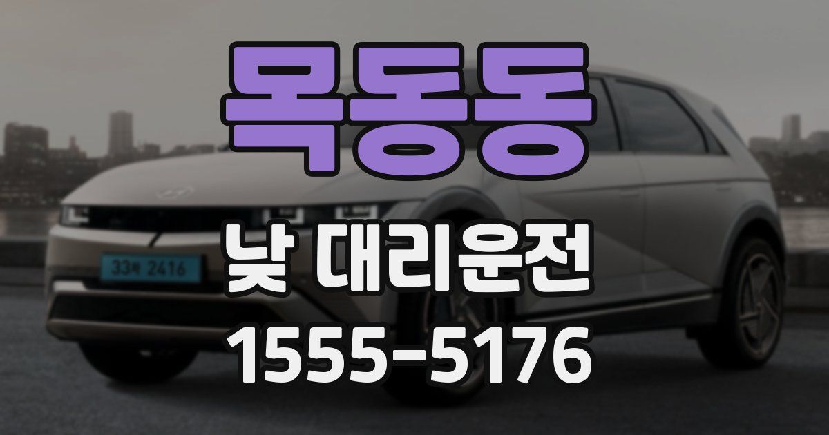 목동동 낮 대리운전