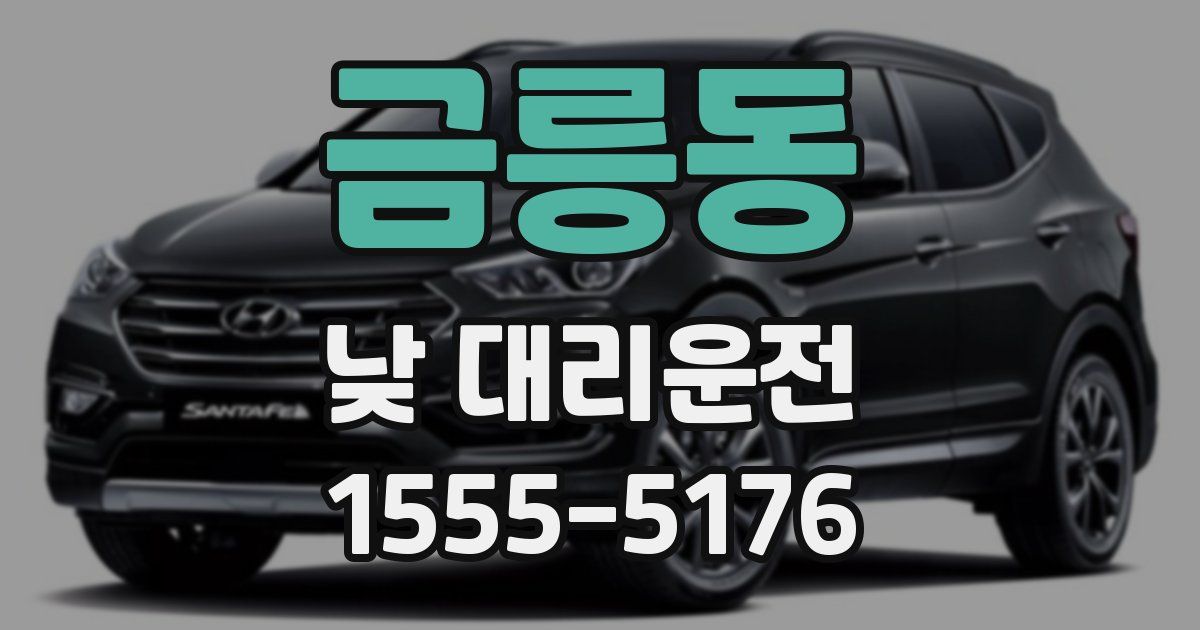 금릉동 낮 대리운전