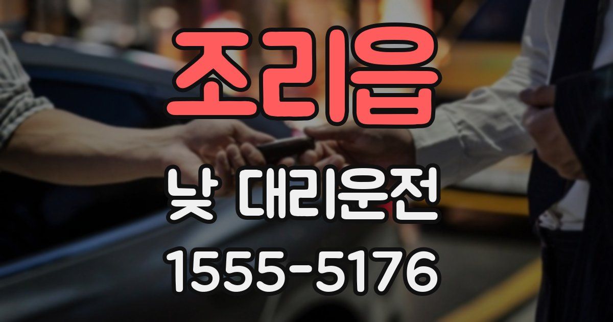 조리읍 낮 대리운전