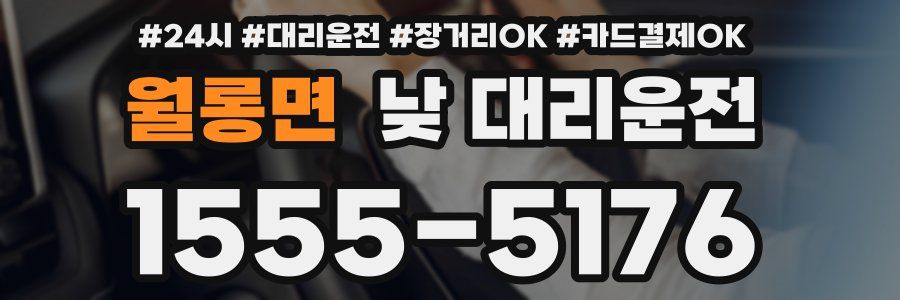 월롱면 낮 대리운전