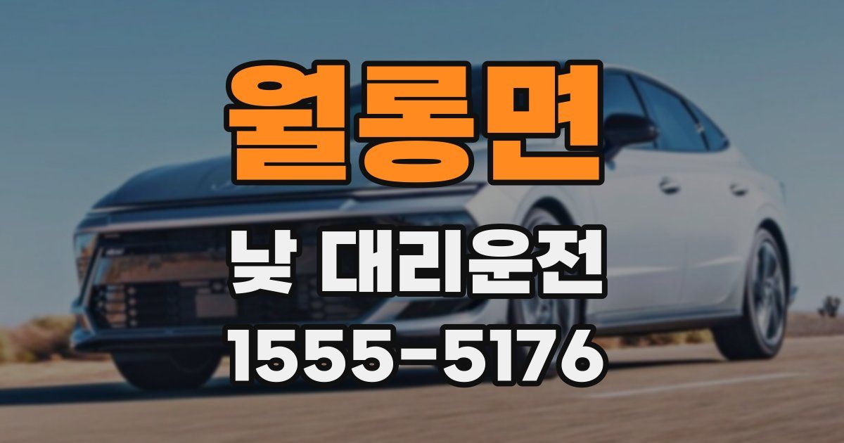 월롱면 낮 대리운전