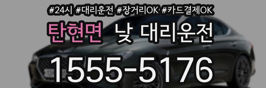 탄현면 낮 대리운전