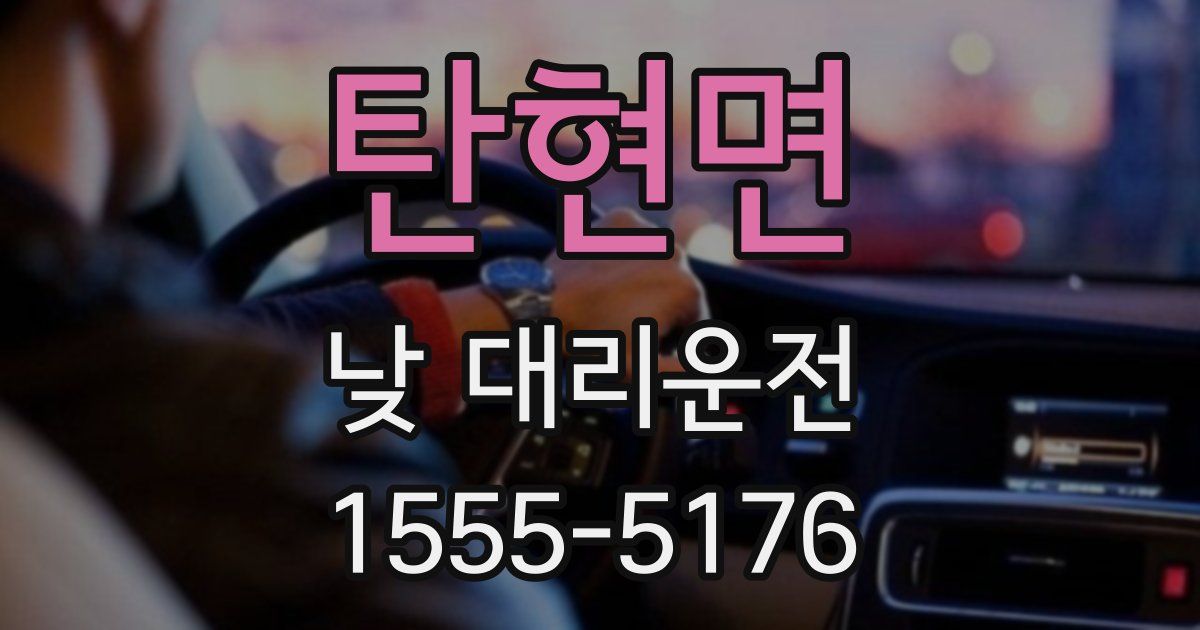 탄현면 낮 대리운전