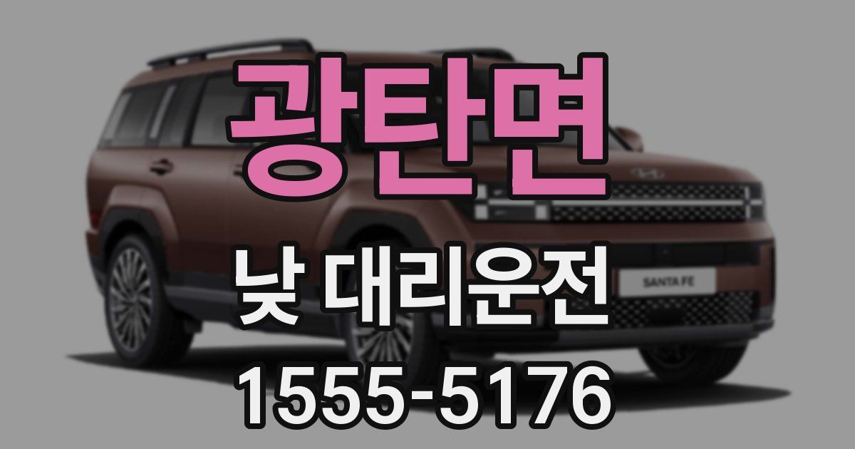 광탄면 낮 대리운전