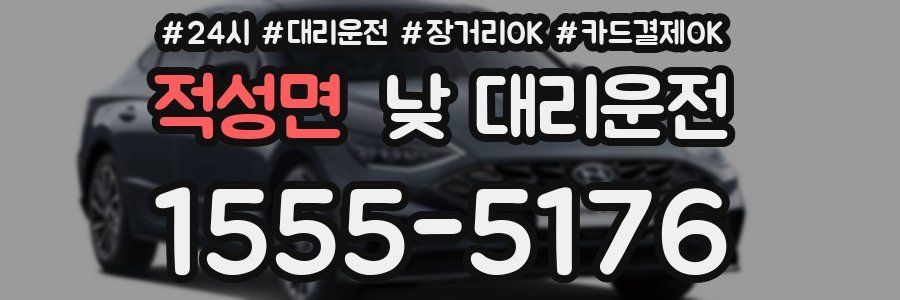 적성면 낮 대리운전