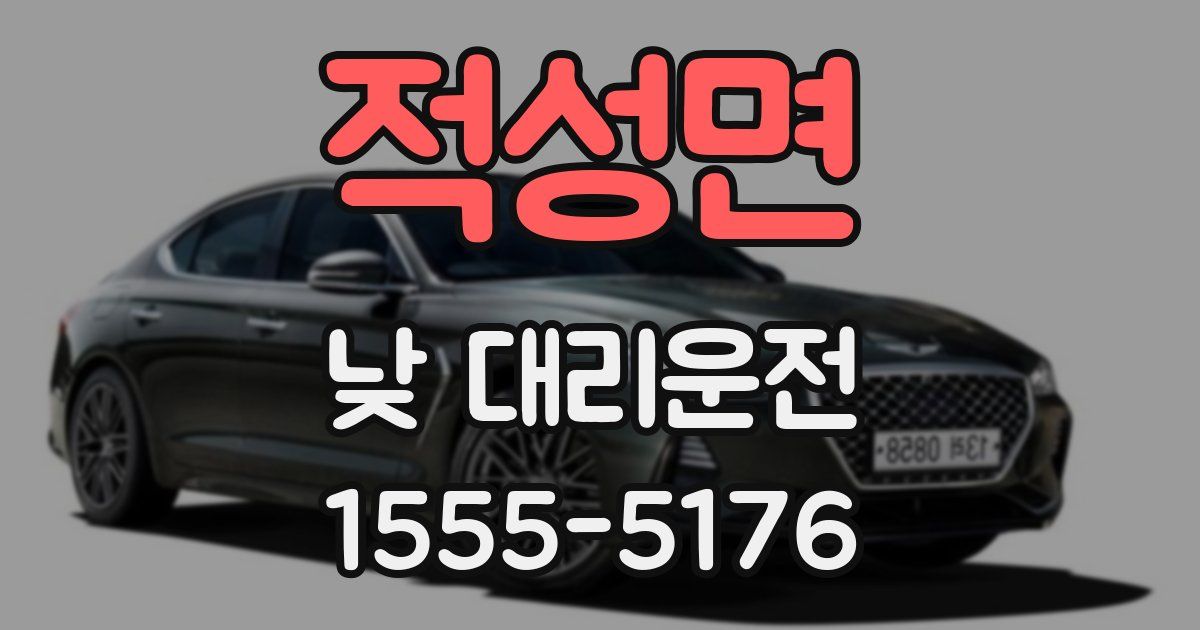 적성면 낮 대리운전