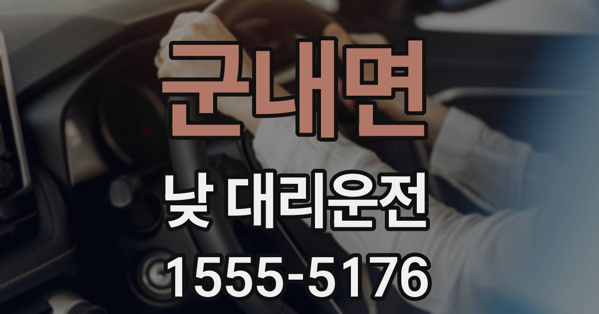 군내면 낮 대리운전